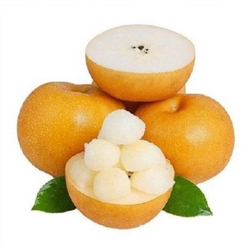 किउय्यू एशियाई नाशपाती